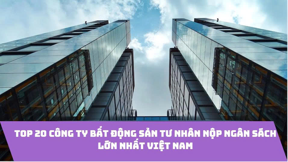 Top 20 Công Ty Bất Động Sản Tư Nhân Nộp Ngân Sách Lớn Nhất Việt Nam Năm 2024